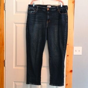 Molly & Isadora girlfriend jeans, size 20W